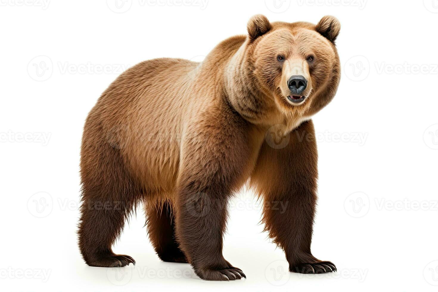 ai generado marrón oso clipart foto