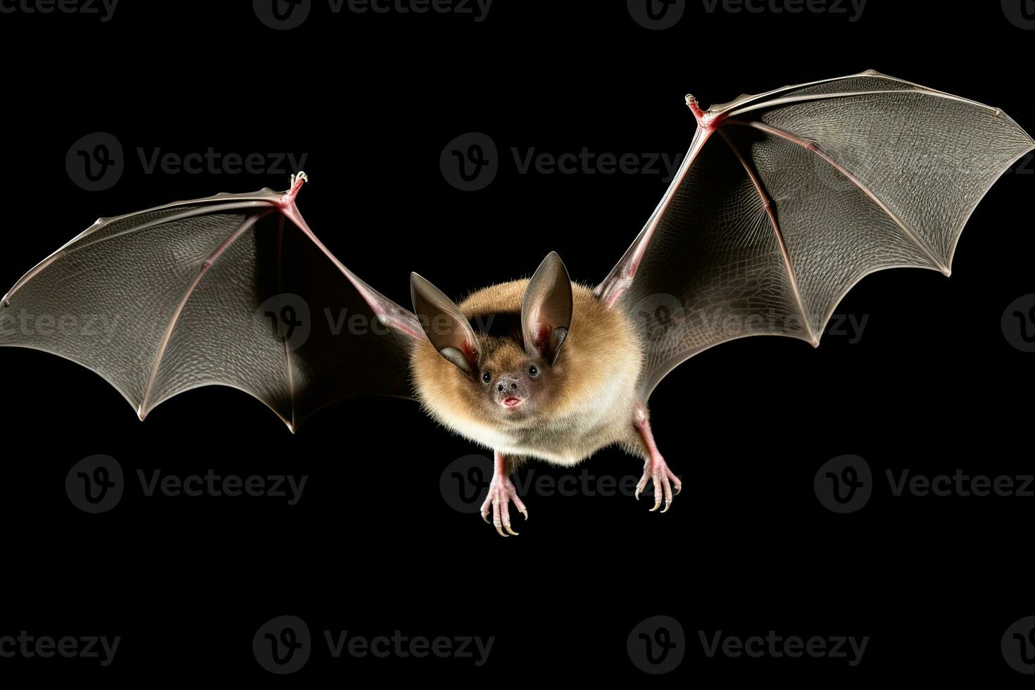 AI generated Realistic bat clipart photo