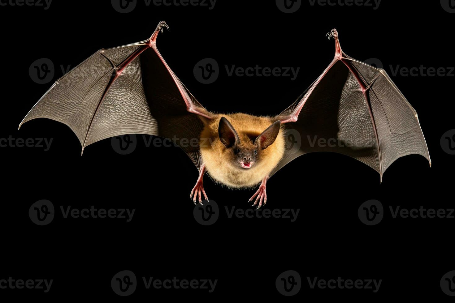 AI generated Realistic bat clipart photo