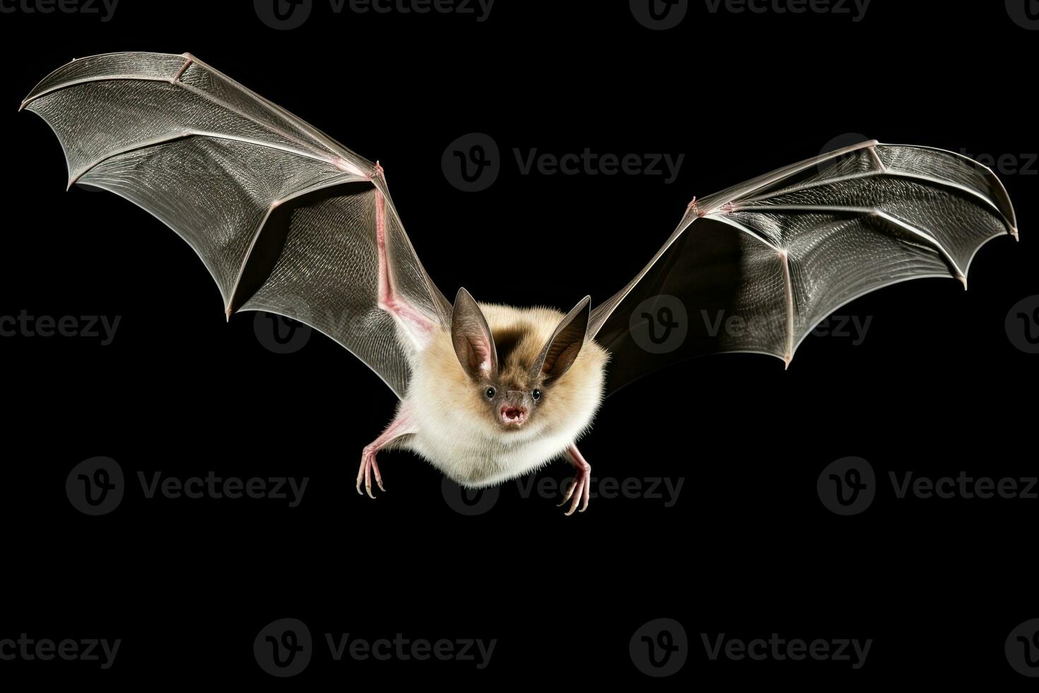 AI generated Realistic bat clipart photo