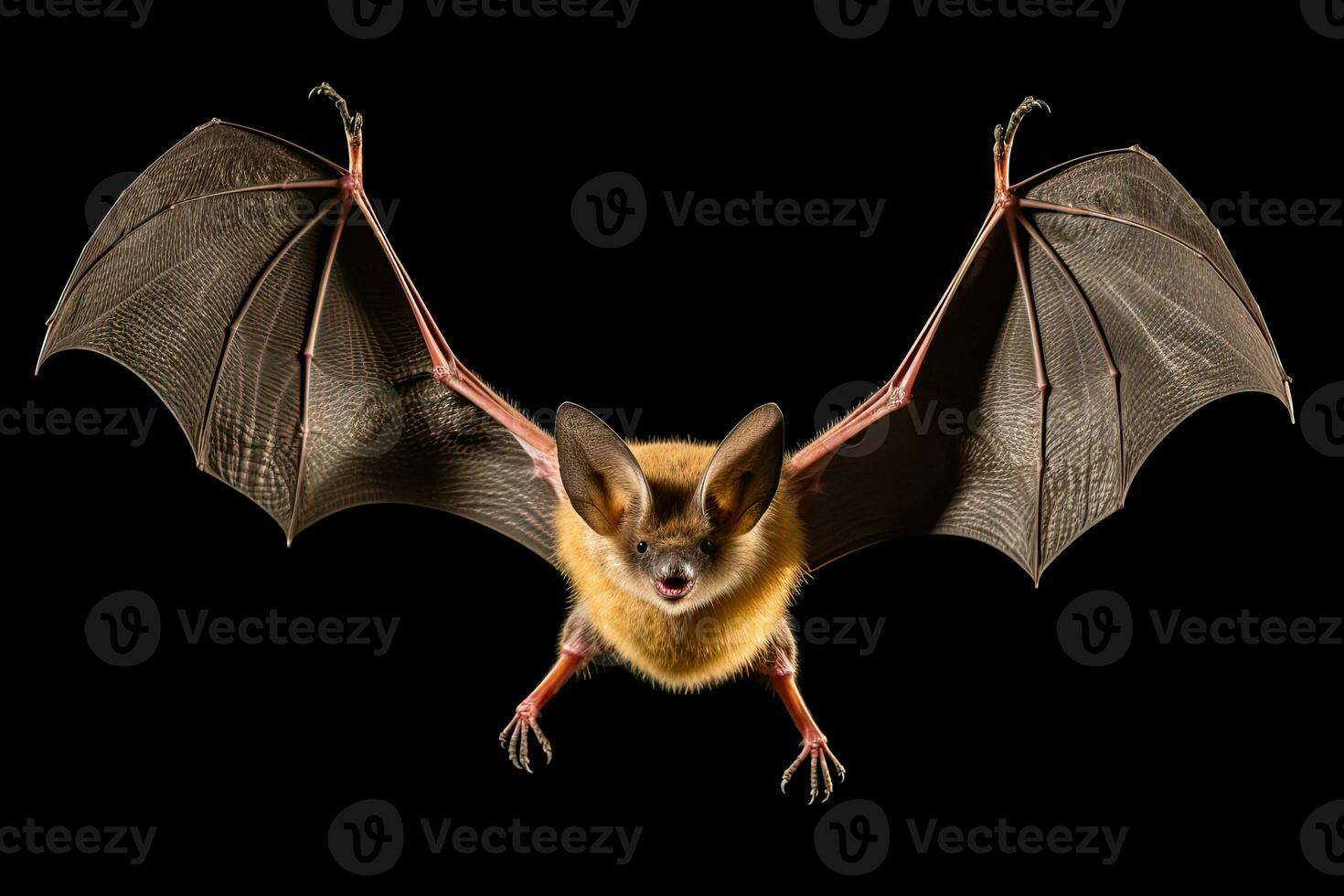 AI generated Realistic bat clipart photo