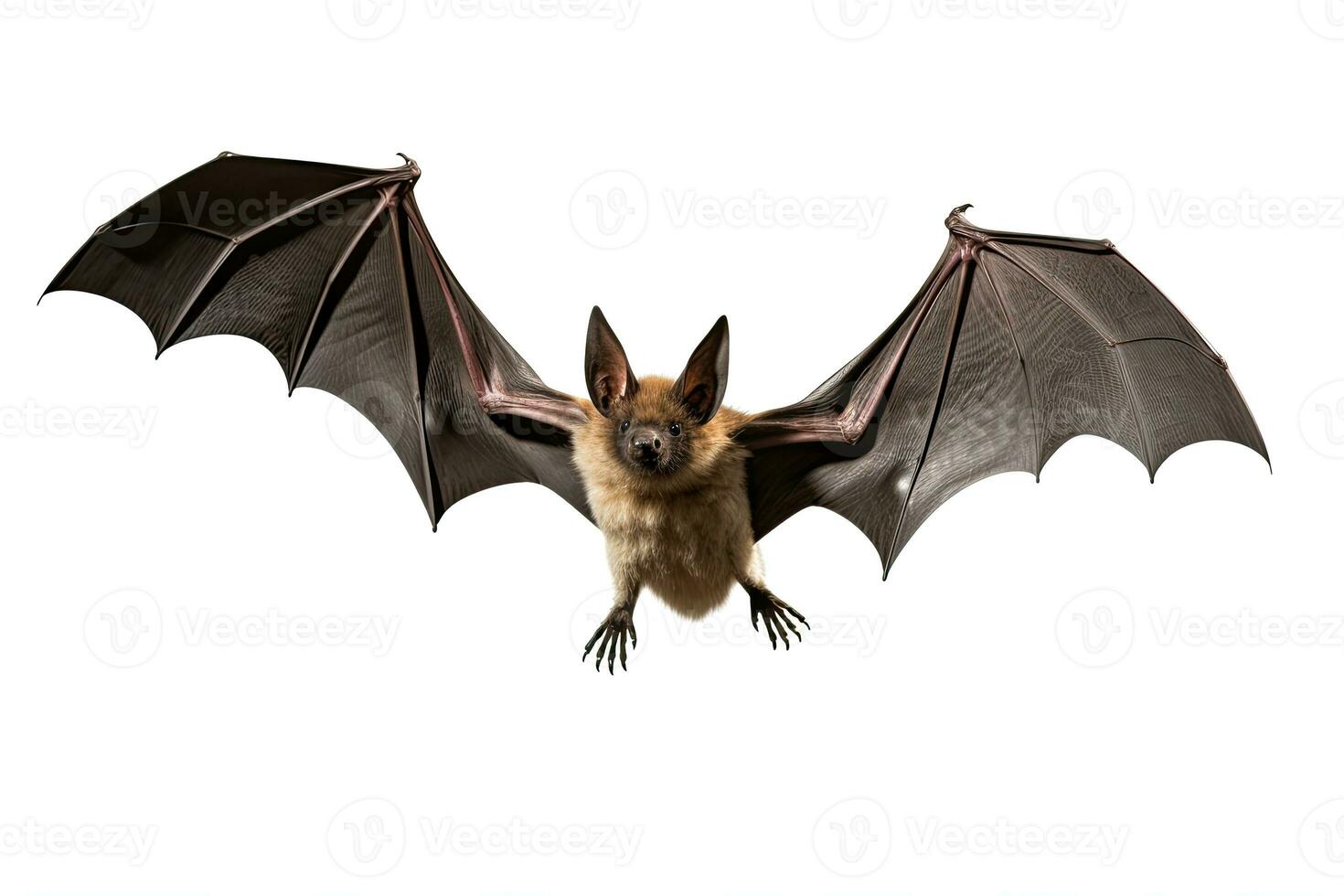 AI generated Realistic bat clipart photo