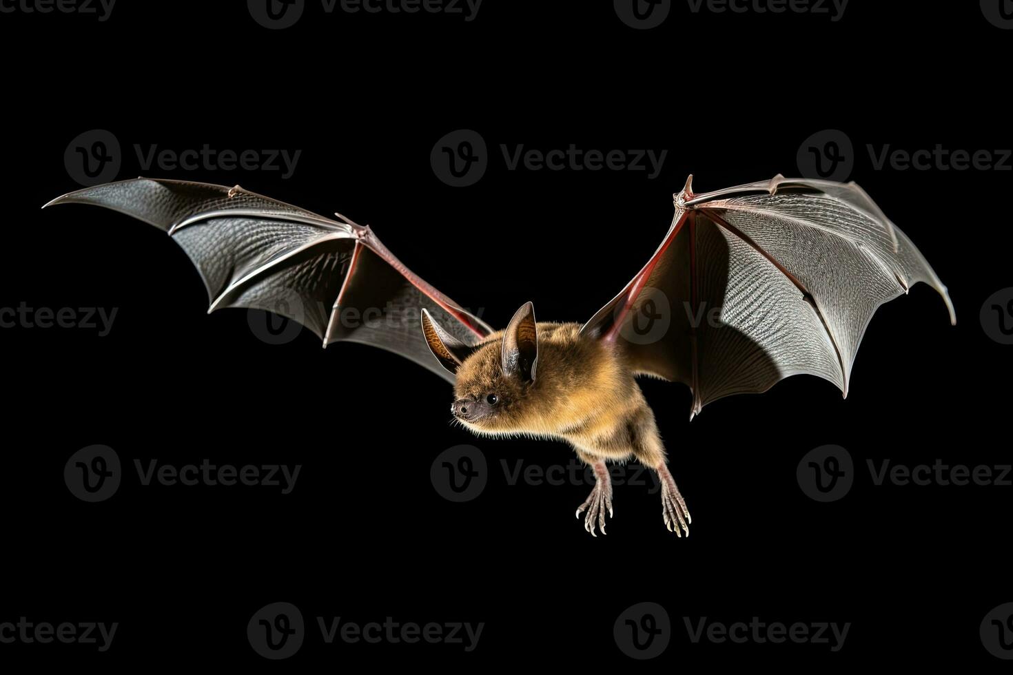 AI generated Realistic bat clipart photo
