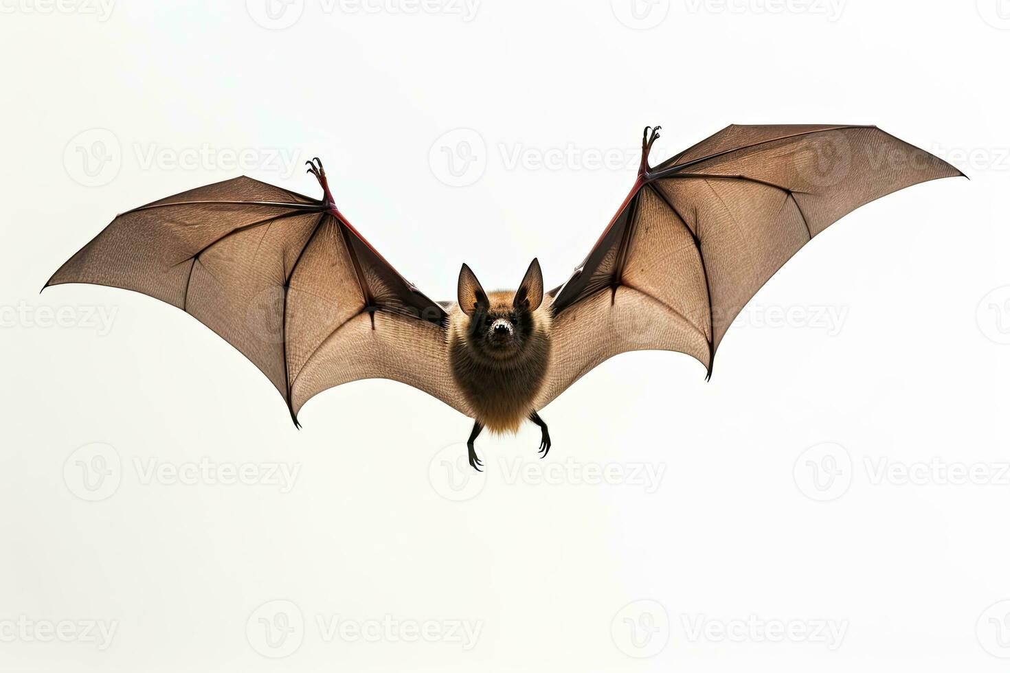 AI generated Realistic bat clipart photo