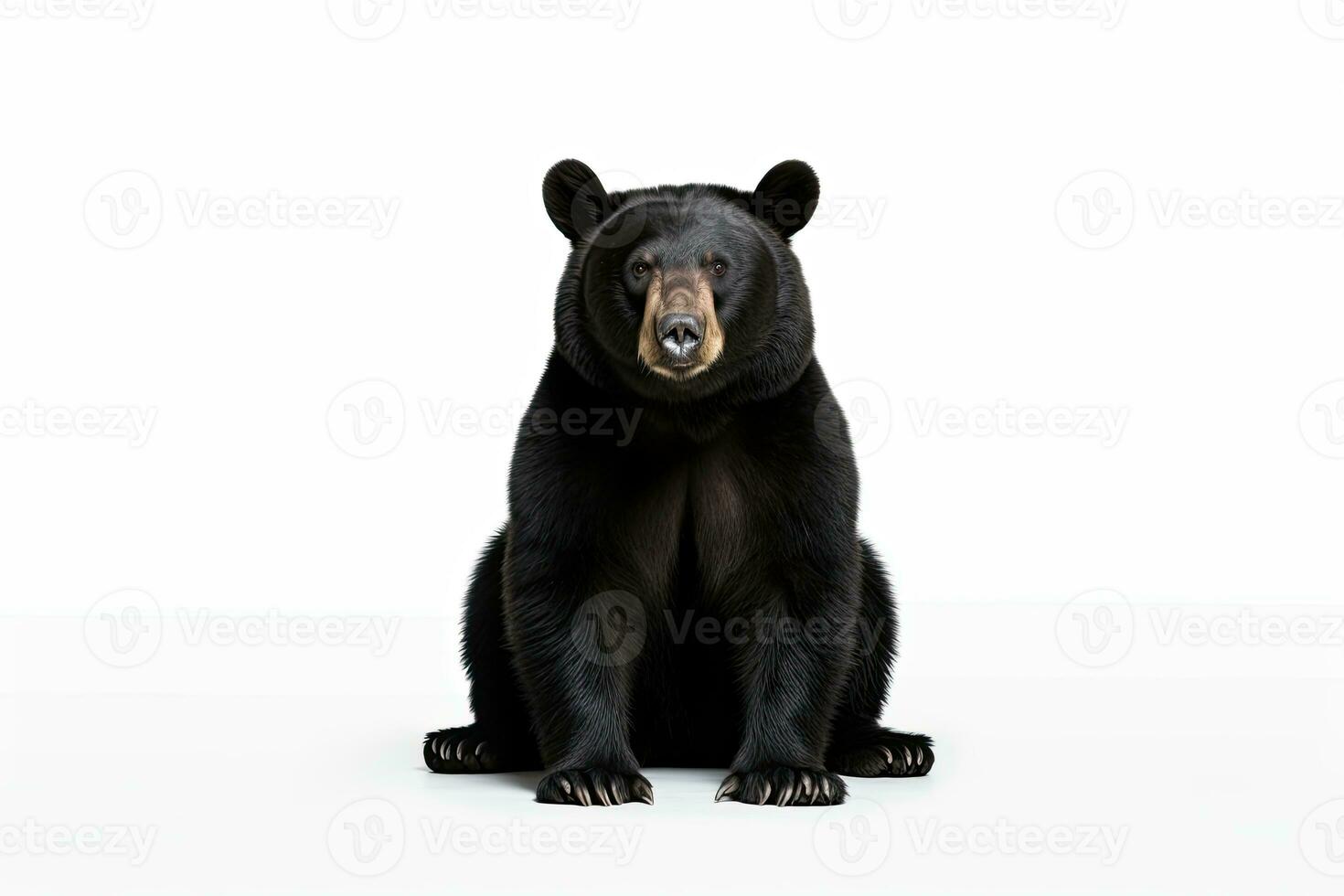 AI generated Realistic black bear clipart photo