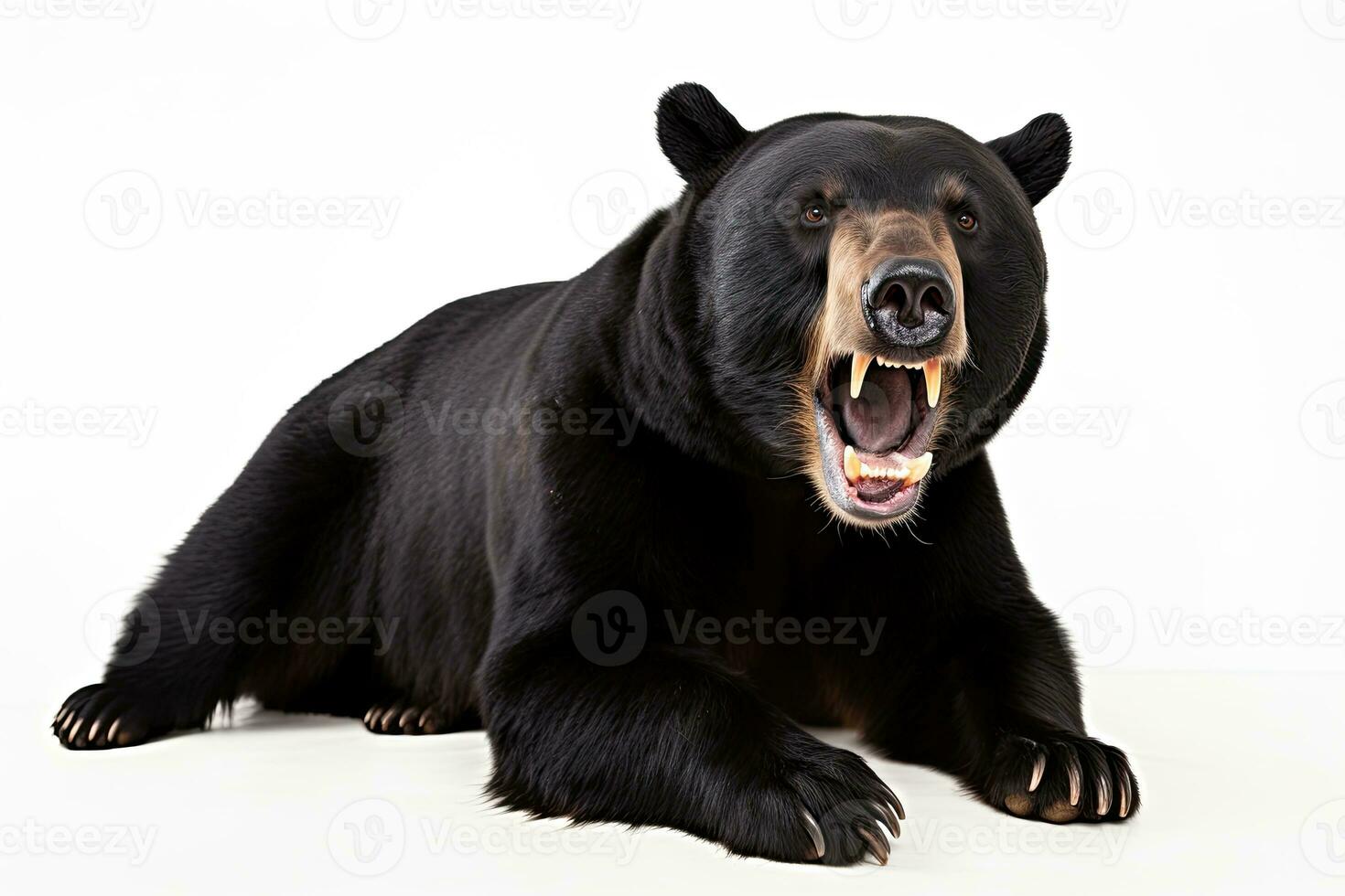 ai generado realista negro oso clipart foto