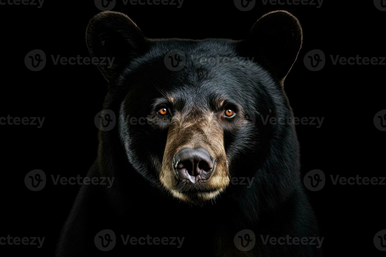 AI generated Realistic black bear clipart photo