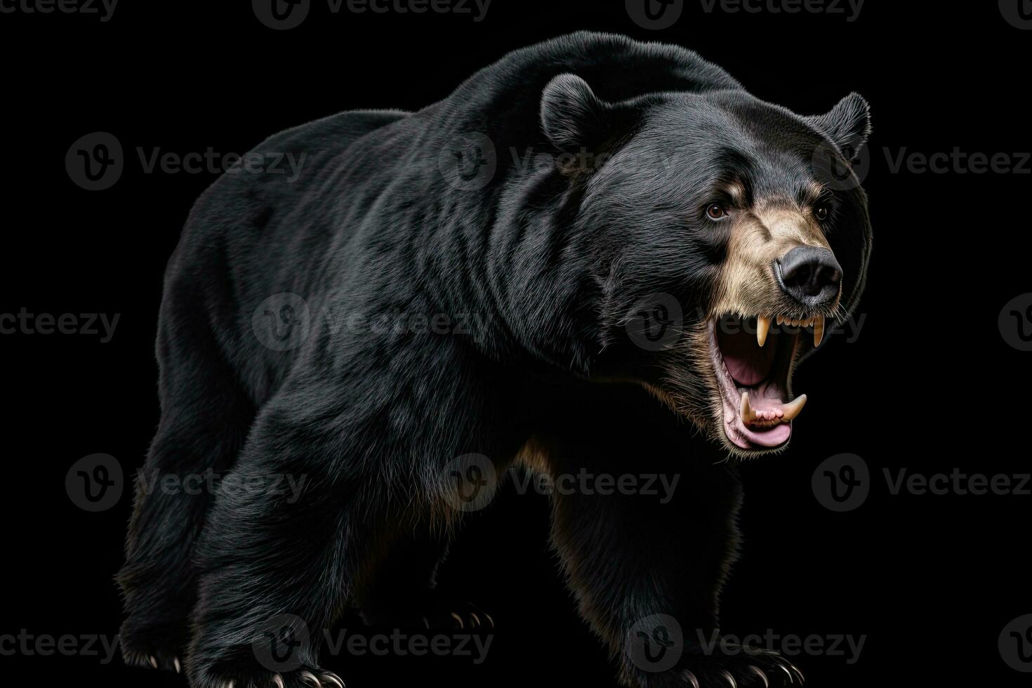 AI generated Realistic black bear clipart photo