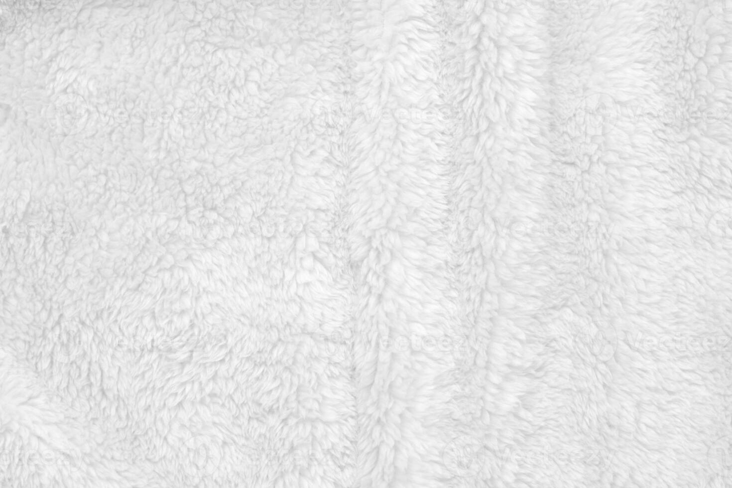 White clean wool texture background. light natural sheep wool. white seamless cotton. texture of fluffy fur for designers. close-up fragment white wool carpet. photo