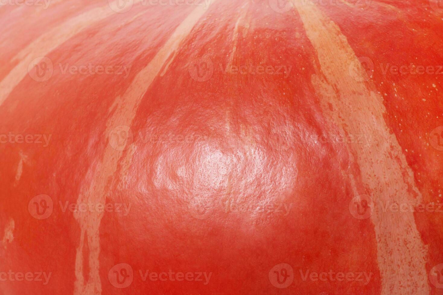 Pumpkin background. Macro photo of the texture of an orange pumpkin.