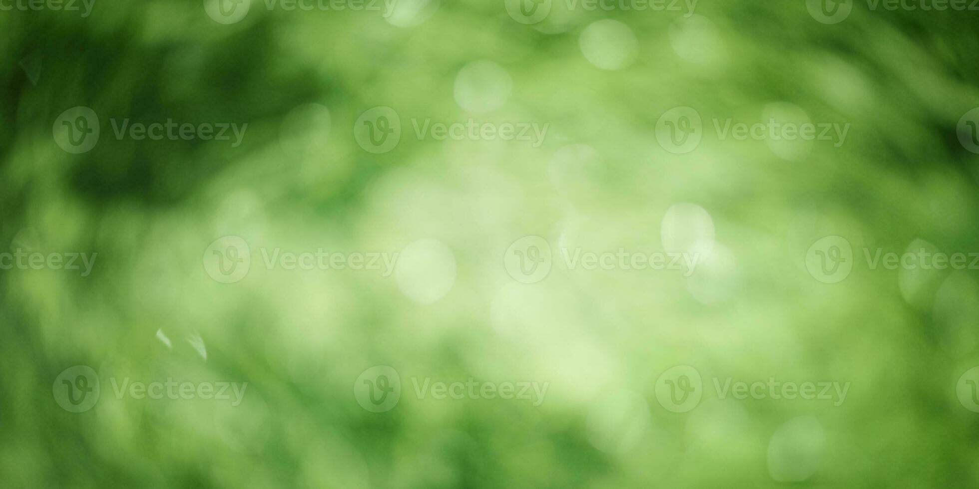 Green blurred background. Defocus light is natural. Defocus from tree leaves, bokeh. photo