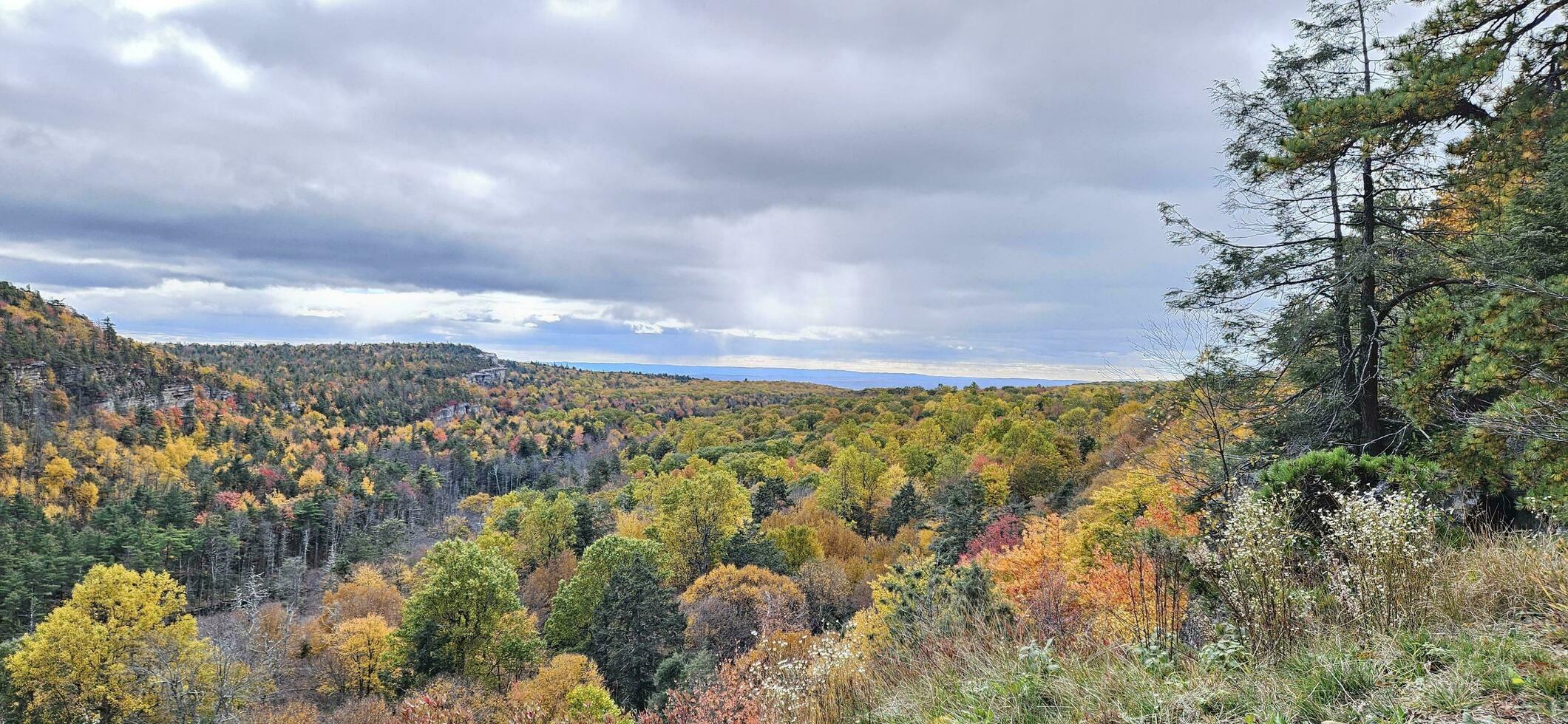 The Yellow Trees in the Valley photo