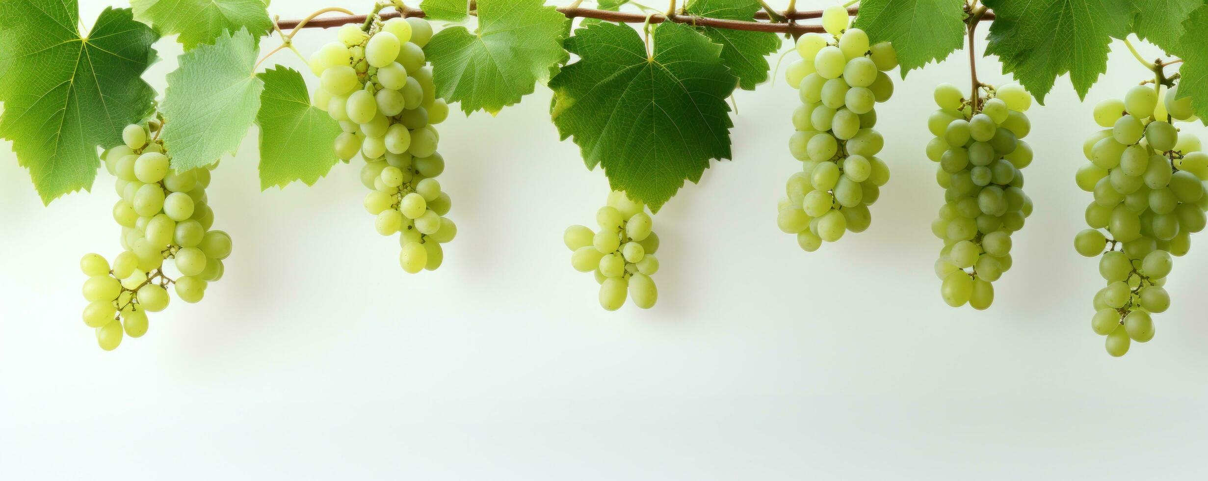 AI generated grapes hanging from a white wooden background with leaves photo