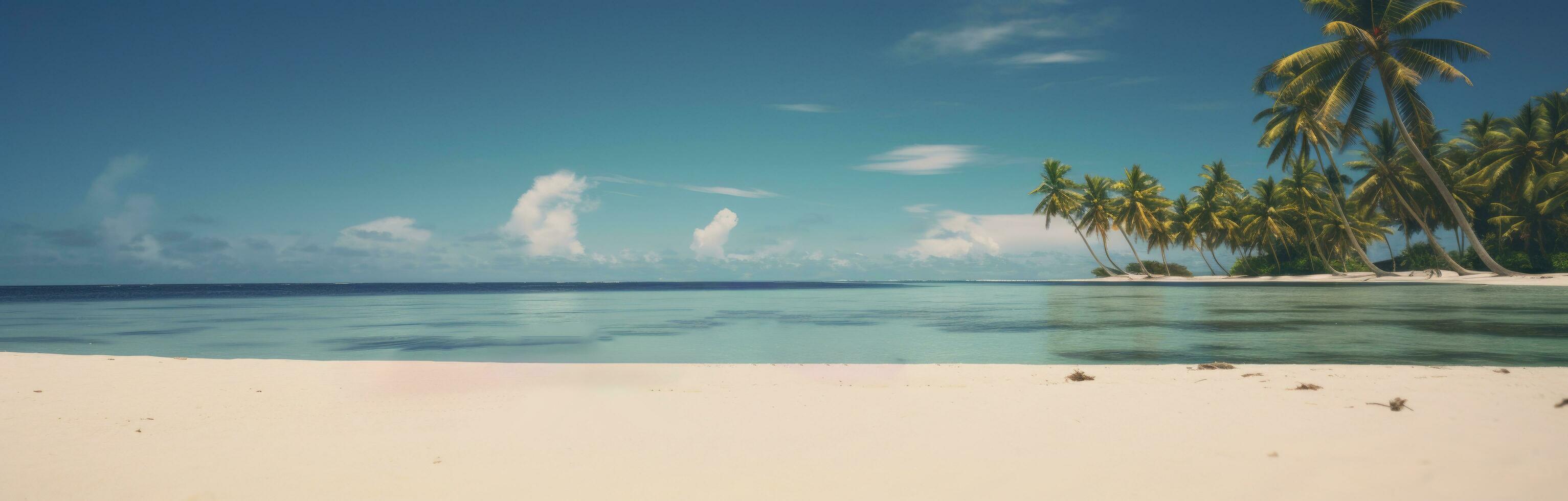 AI generated a woman lay down on coconut palm trees in white sandy beach photo