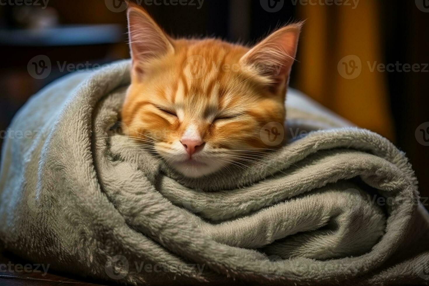AI generated Portrait of a sleeping striped young cat on a gray sofa photo