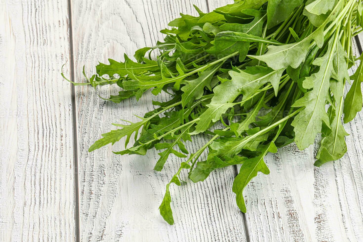 Fresh tasty natural organic rucola photo