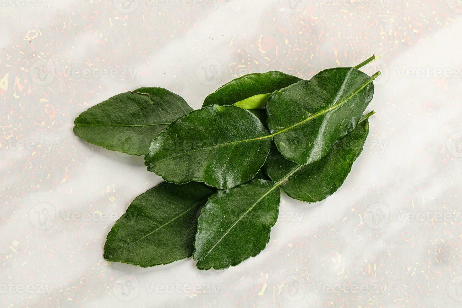 Aroma seasoning kaffir lime leaves photo