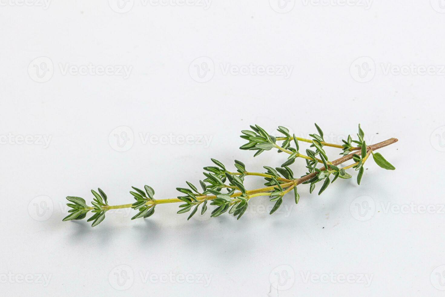 Aroma seasoning thyme stem with leaves photo