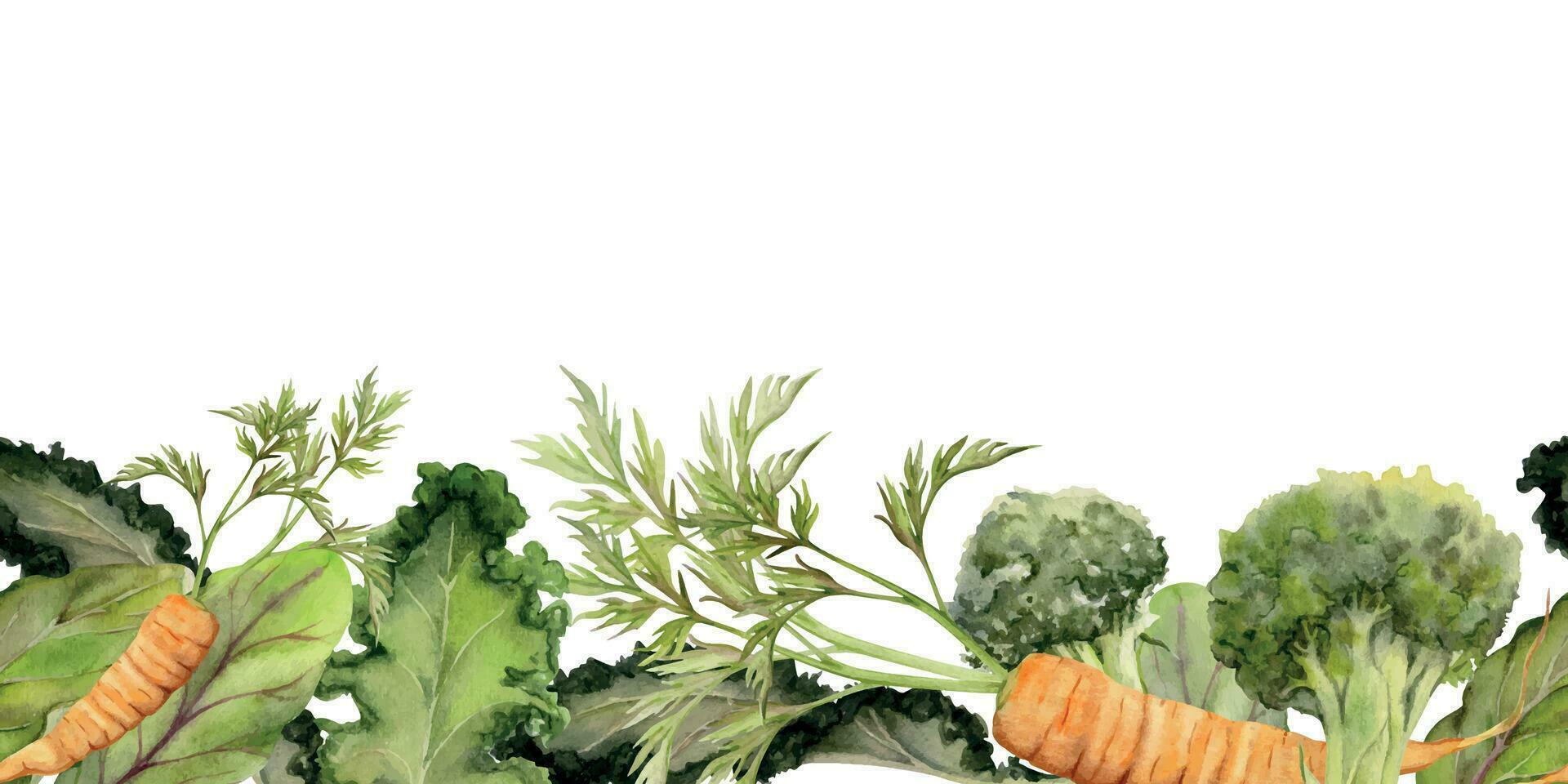 mano dibujado acuarela vegetales y verde ensalada mezcla para dieta, sano estilo de vida, vegano cocinando. ilustración sin costura frontera aislado en blanco antecedentes. diseño póster, imprimir, sitio web, tarjeta, menú vector