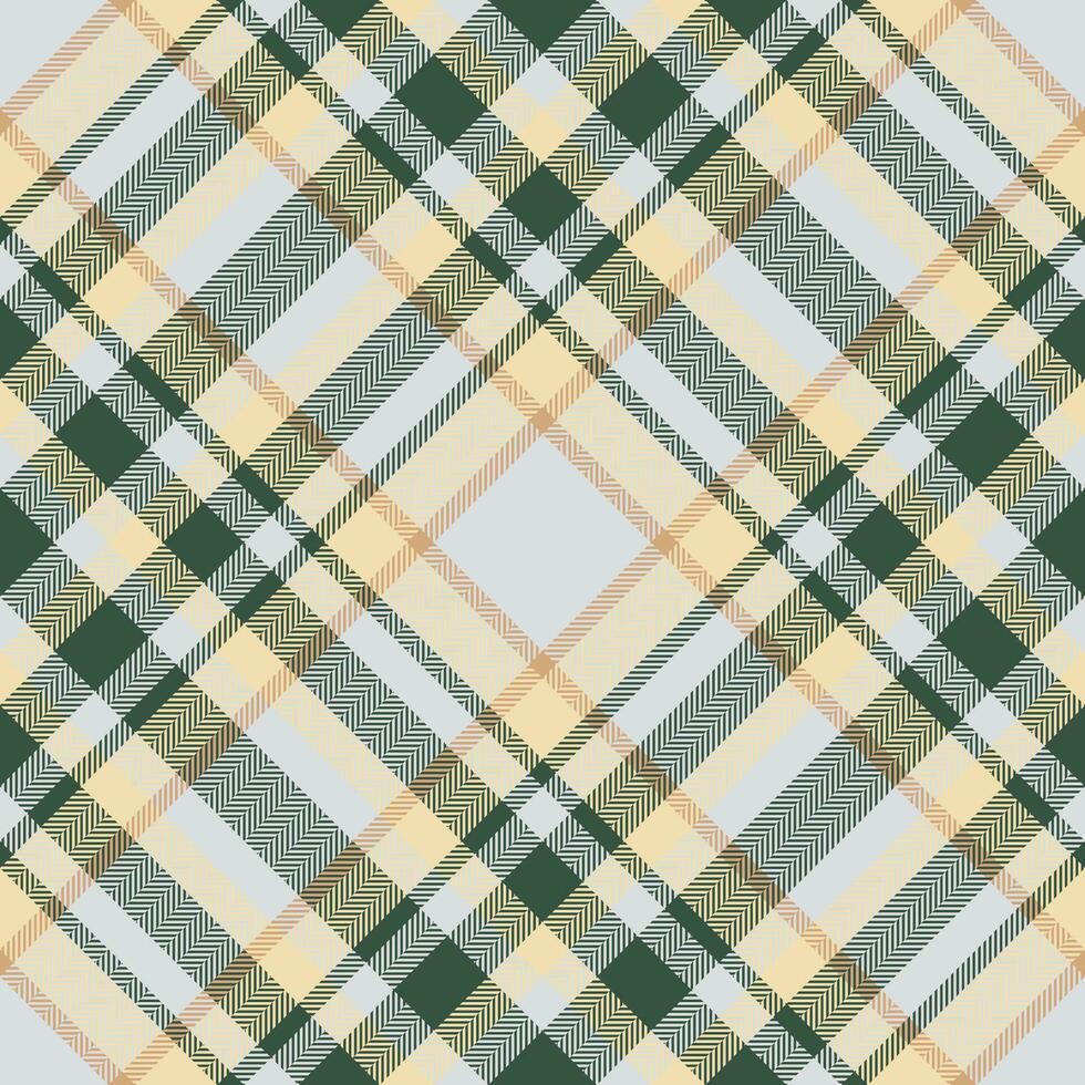 Plaid pattern vector. Check fabric texture. Seamless textile design for clothes, paper print. vector