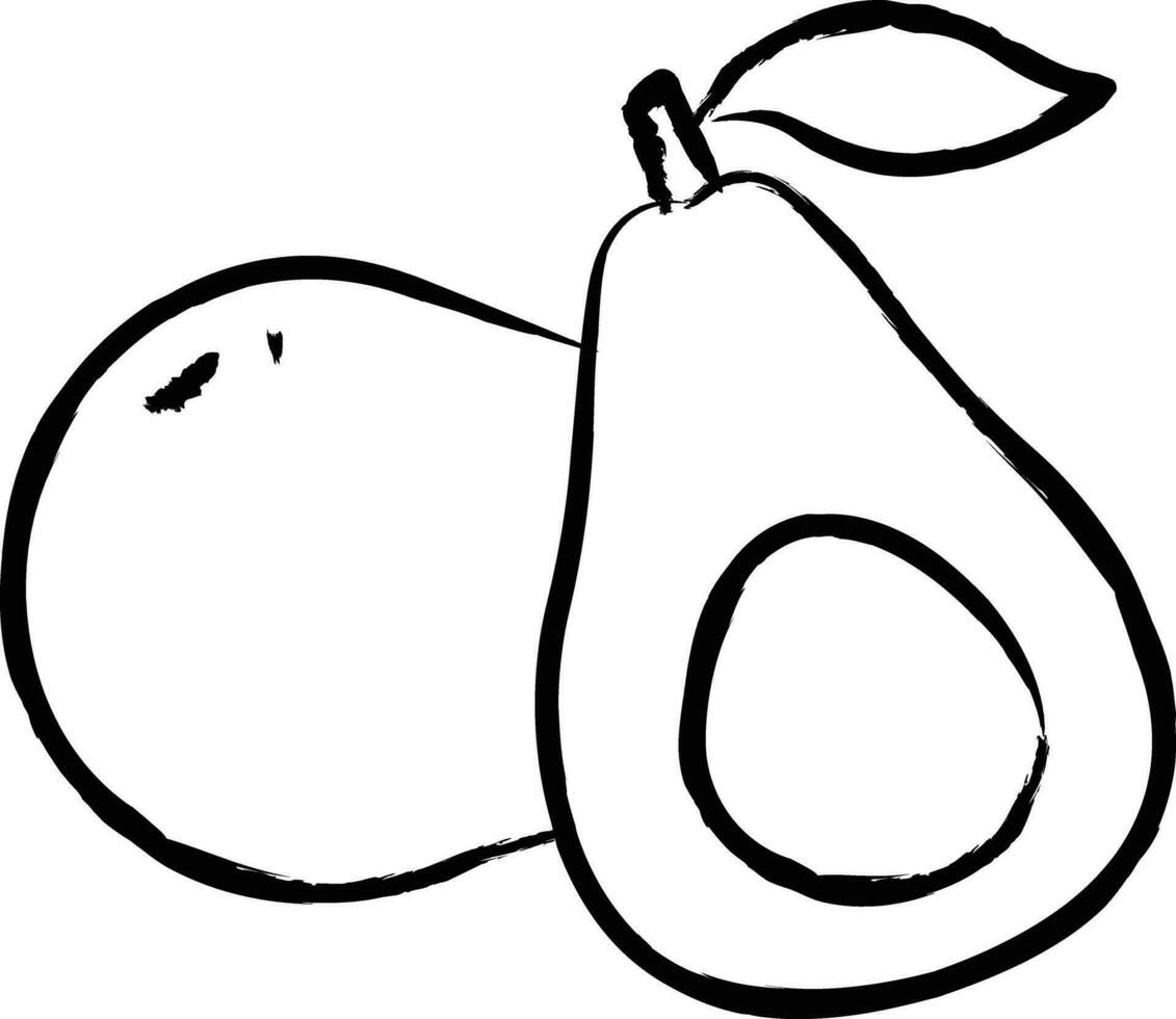 Avacado hand drawn vector illustration 35334206 Vector Art at Vecteezy