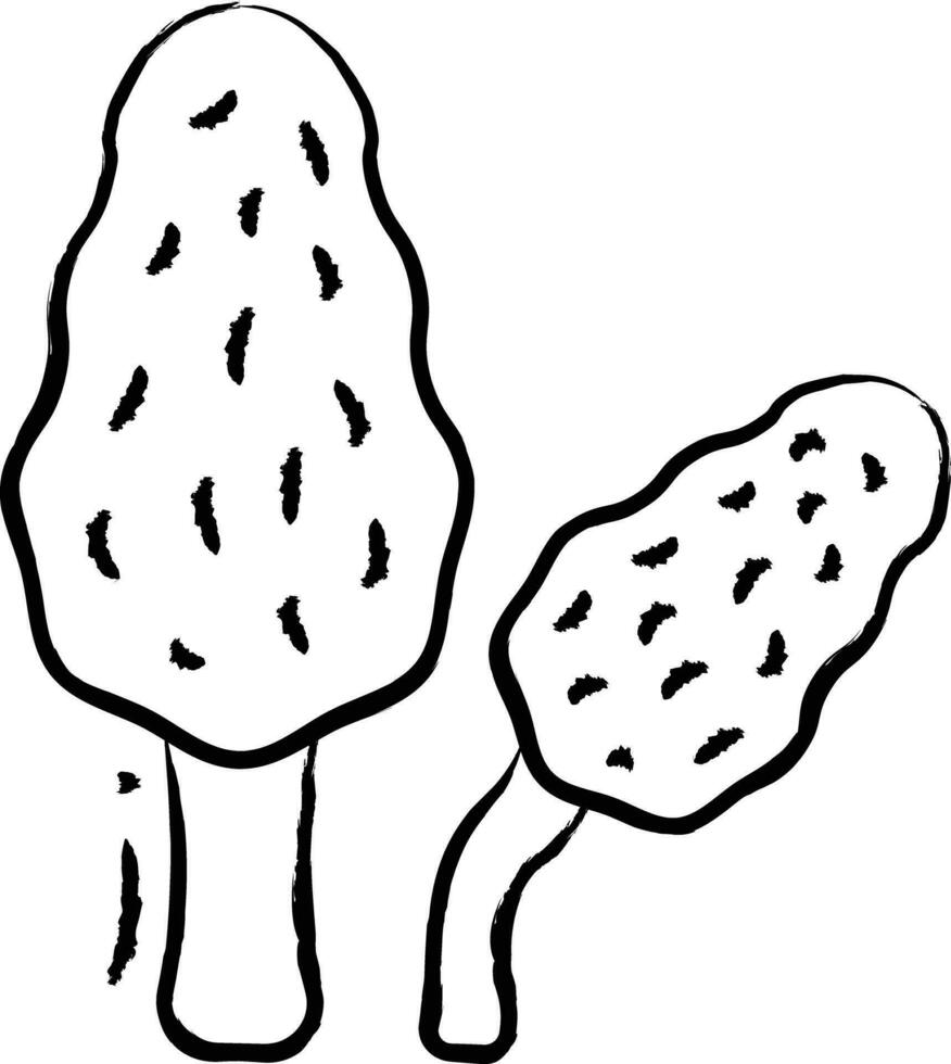 Morel Mushroom hand drawn vector illustration