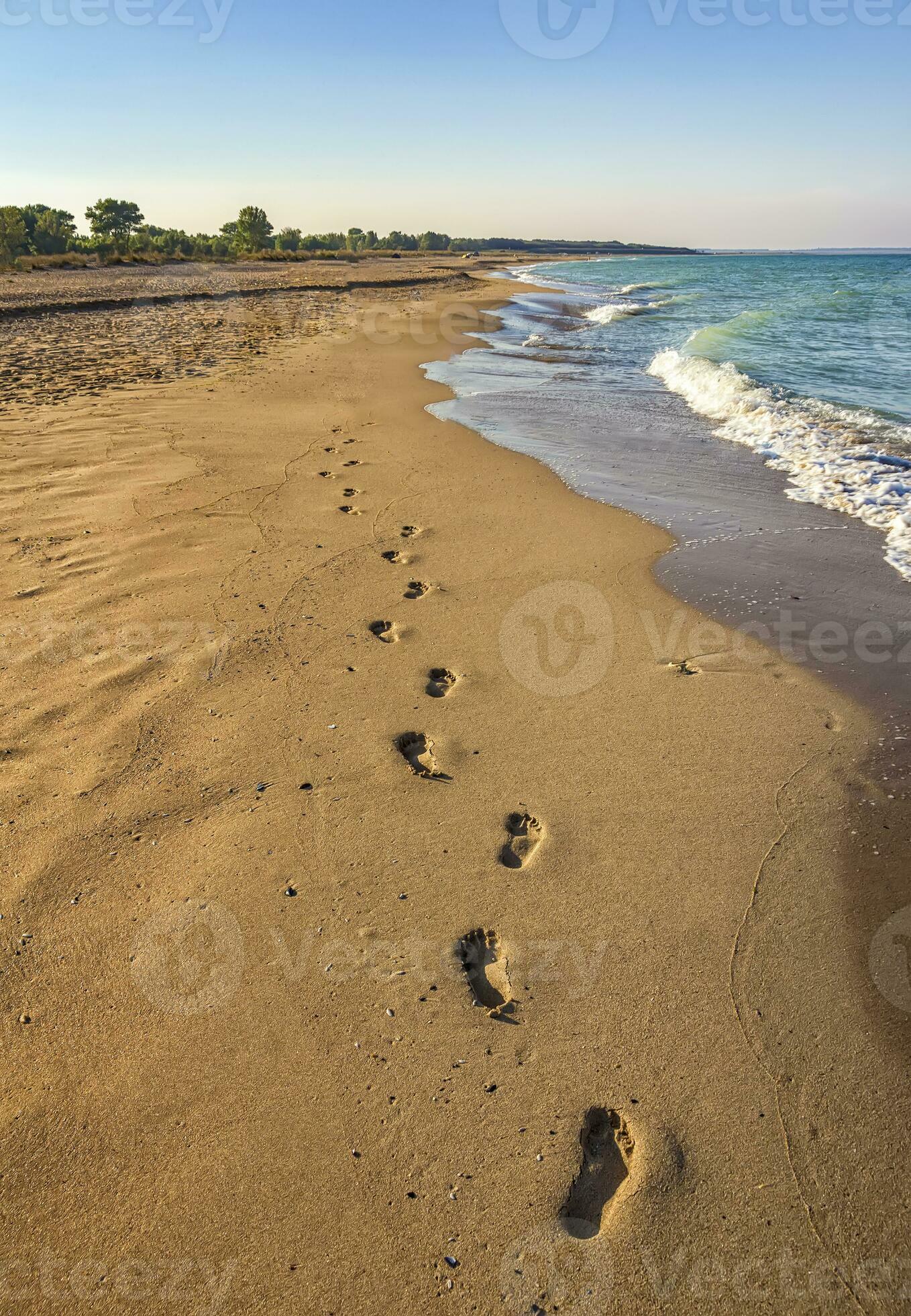 Footprints on beach background. A footprint of human feet on the sand near the sea 35336197