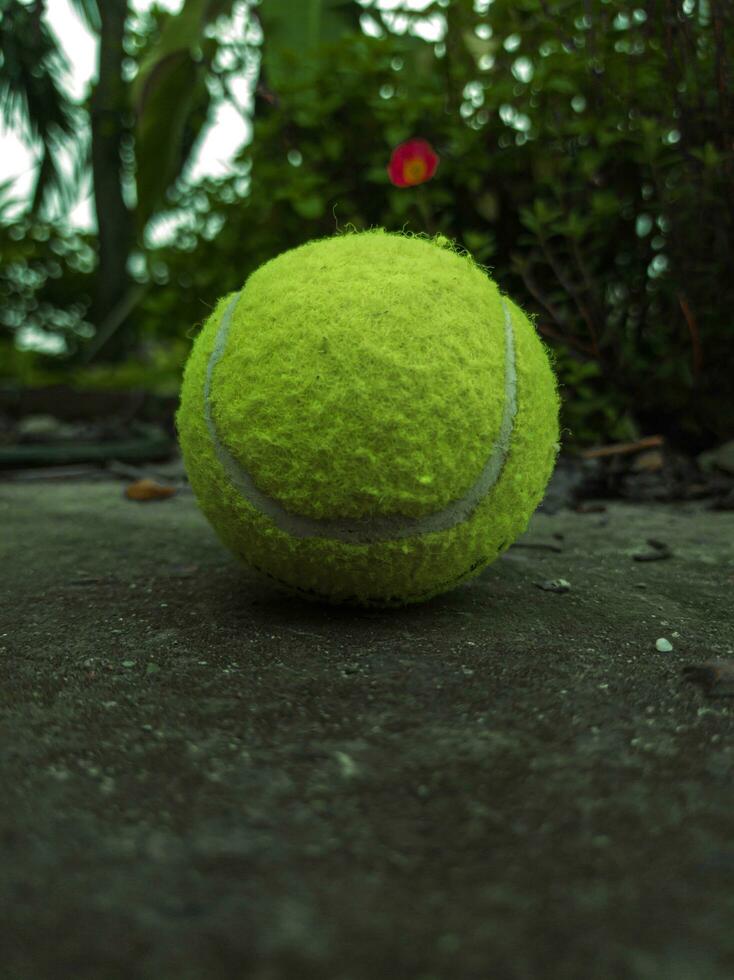 Close up of tennis ball on the groundTennis ball photo