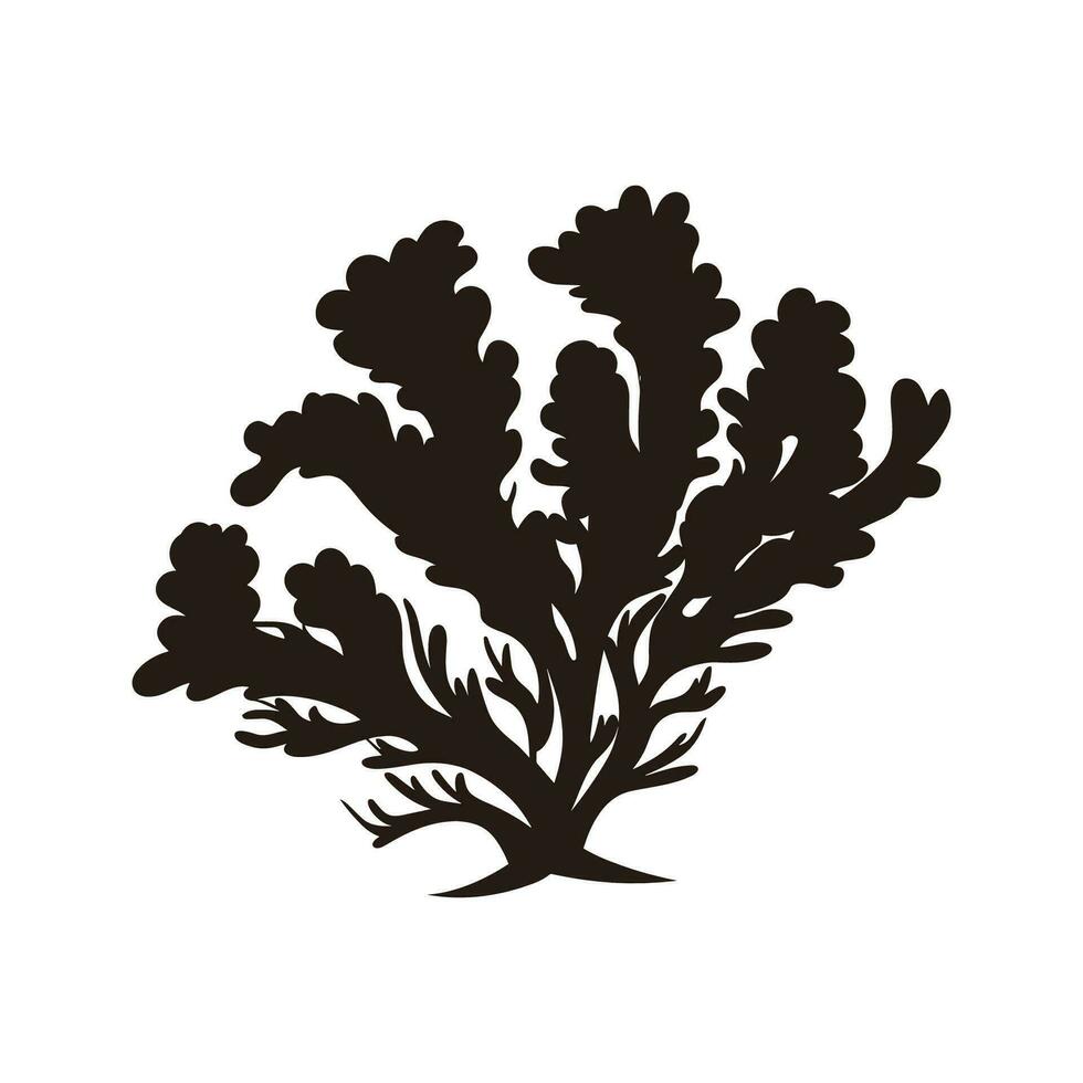 A Seaweed vector silhouette isolated on a white background, A silhouette of a Sea coral Vector