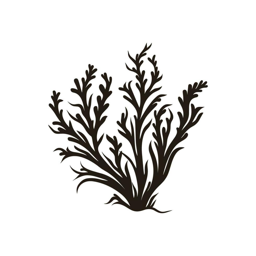 A Seaweed vector silhouette isolated on a white background, A silhouette of a Sea coral Vector