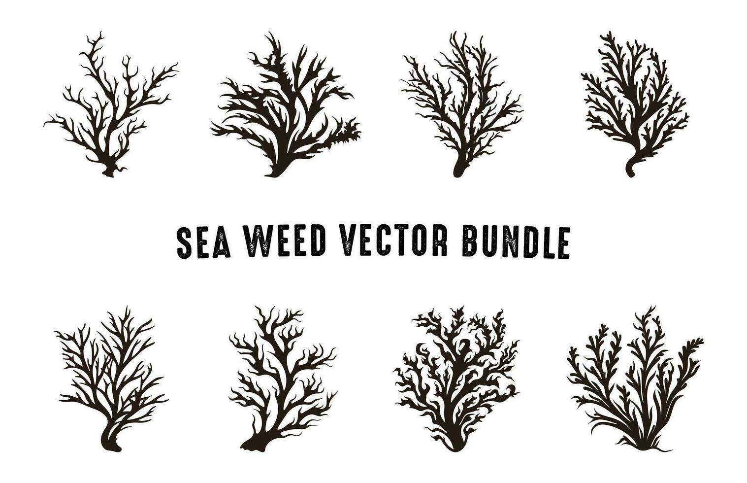 Seaweed Vector Set, Seaweed silhouette Collection, Sea coral silhouettes clipart bundle