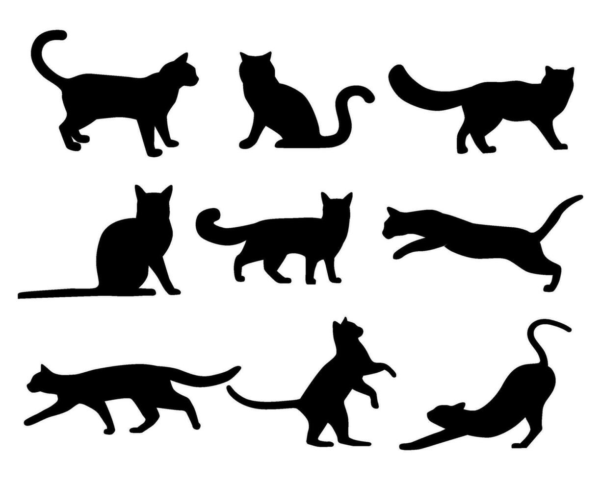 gatos siluetas en un vector conjunto