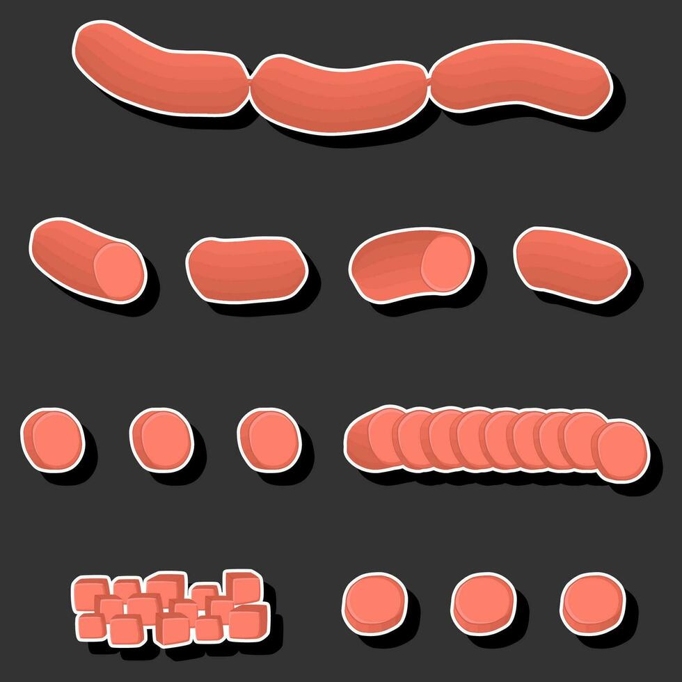 Illustration on theme big set different types delicatessen meat sausages vector