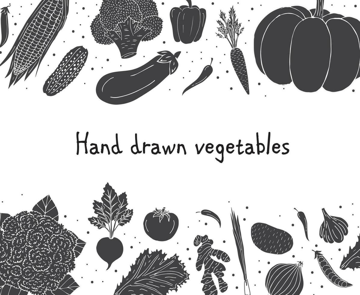 Vector hand drawn sketch frame with vegetable