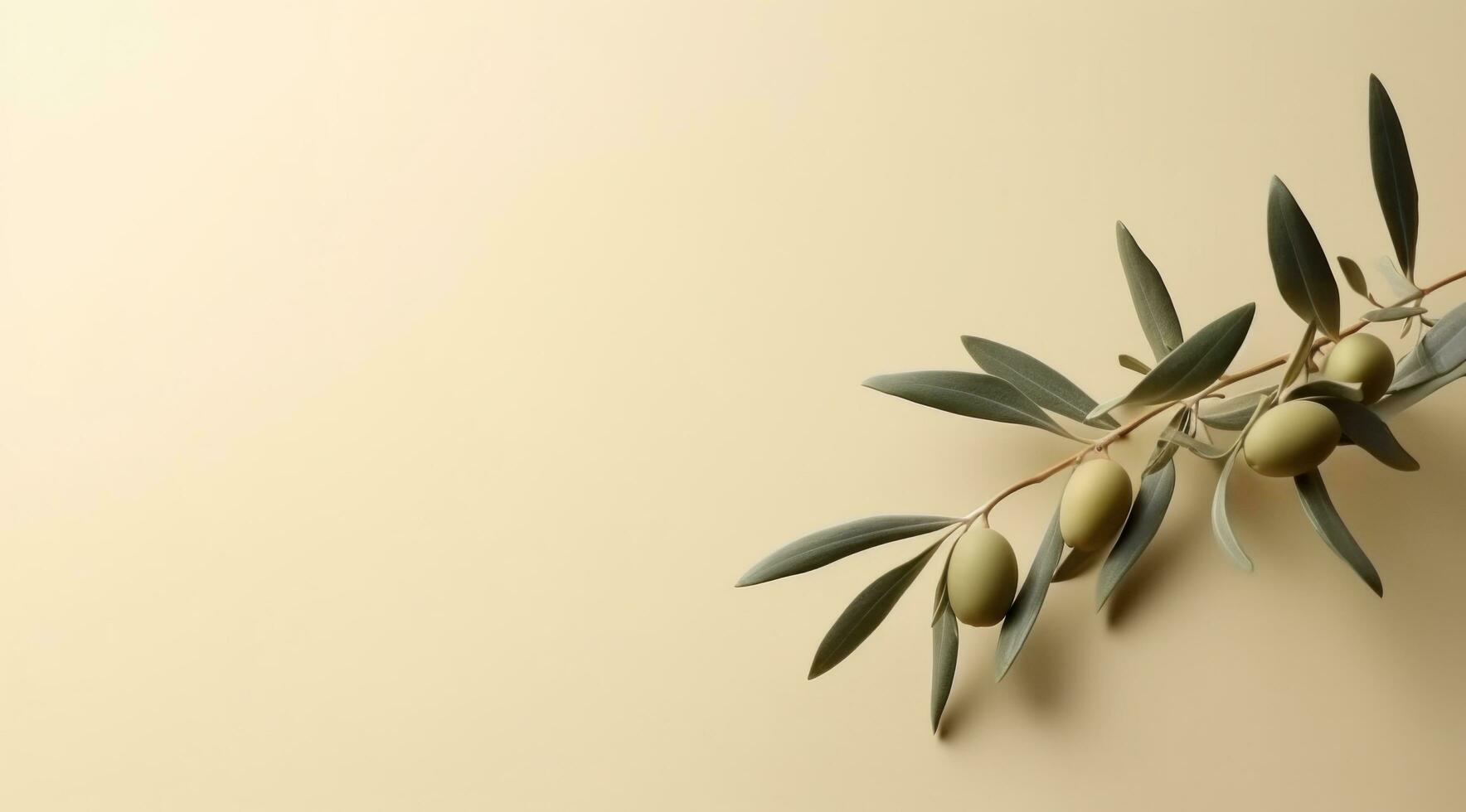 AI generated olive branch with fronds olives photo