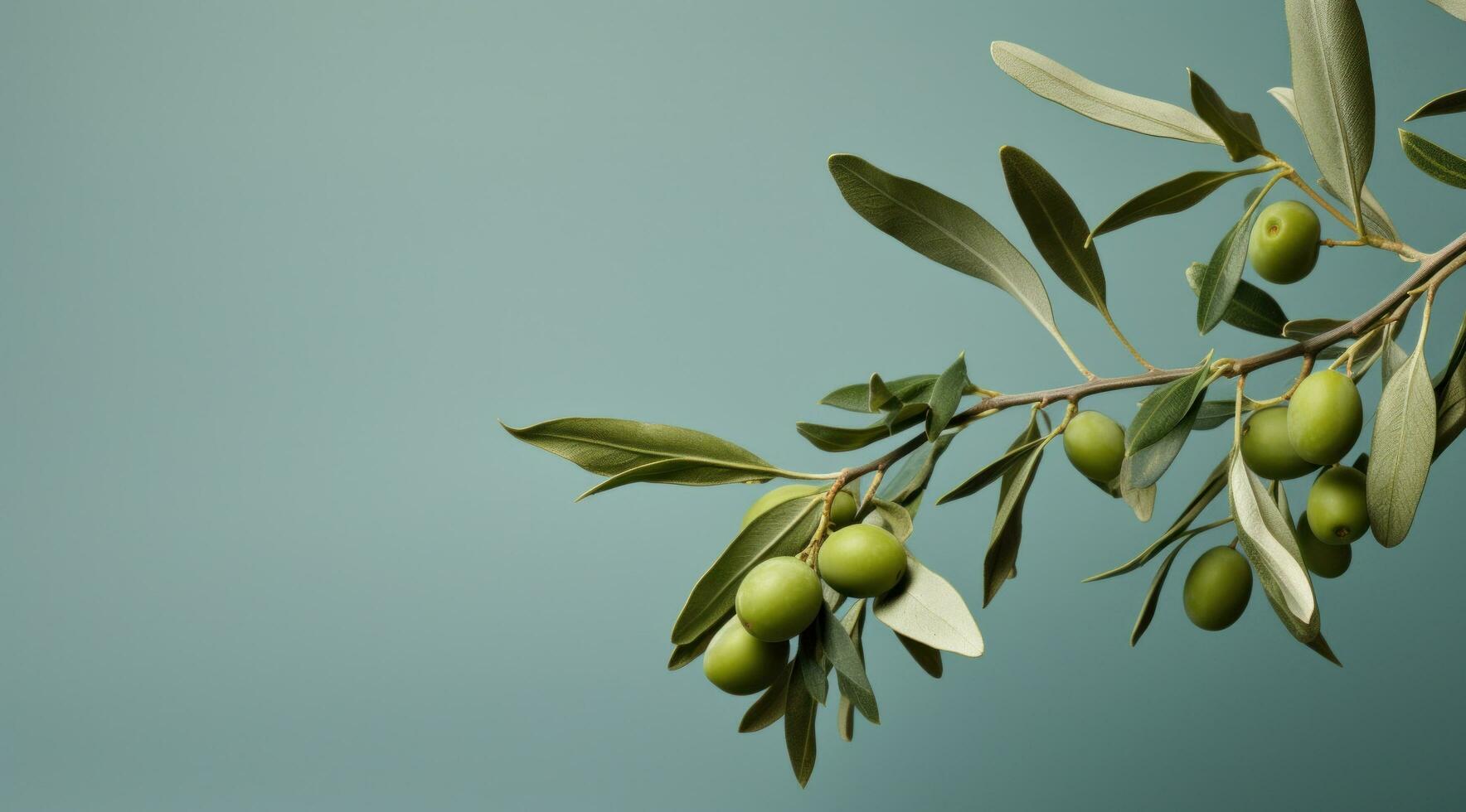 AI generated olive branch with fronds olives photo