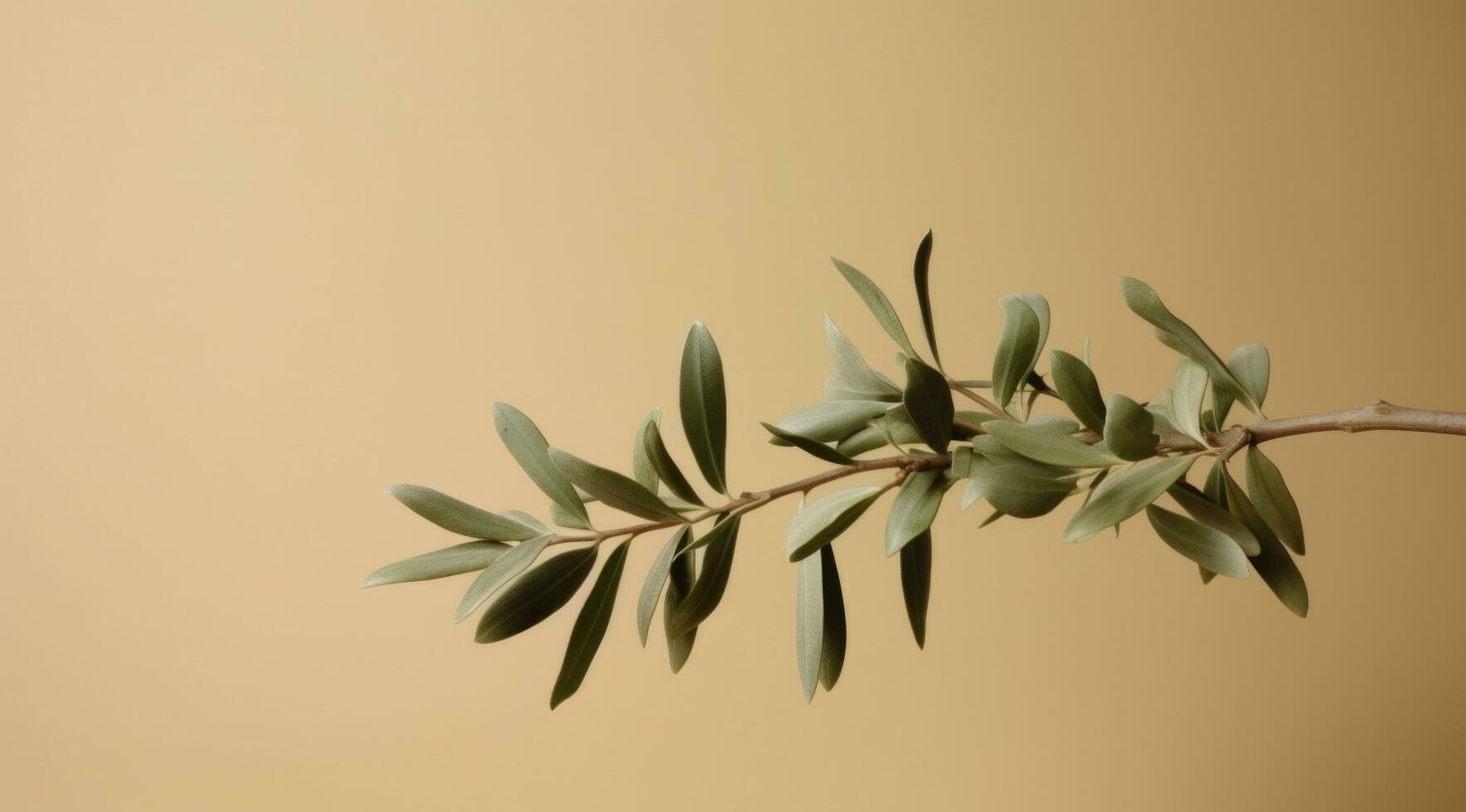 AI generated olive branch with fronds olives photo