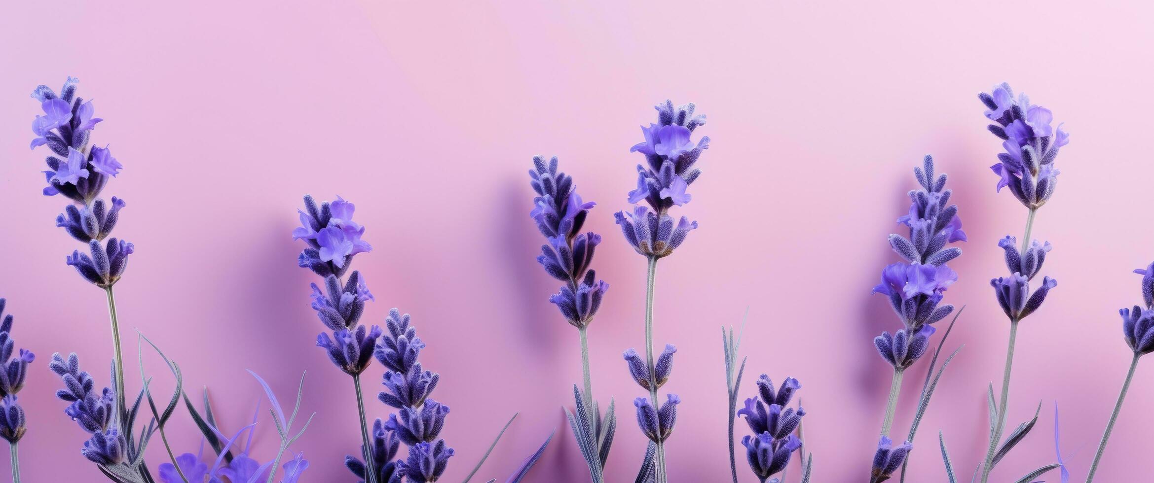 ai generado flores en lavanda fondo, foto