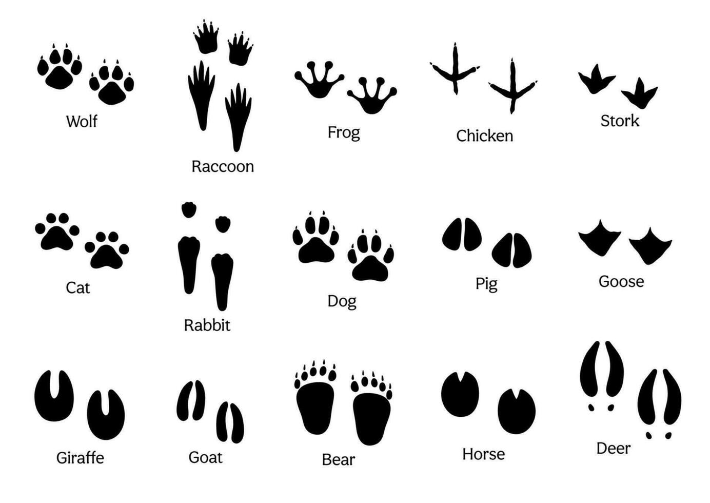 negro silueta de pata huellas dactilares de diferente animales aislado en blanco. vector conjunto huellas