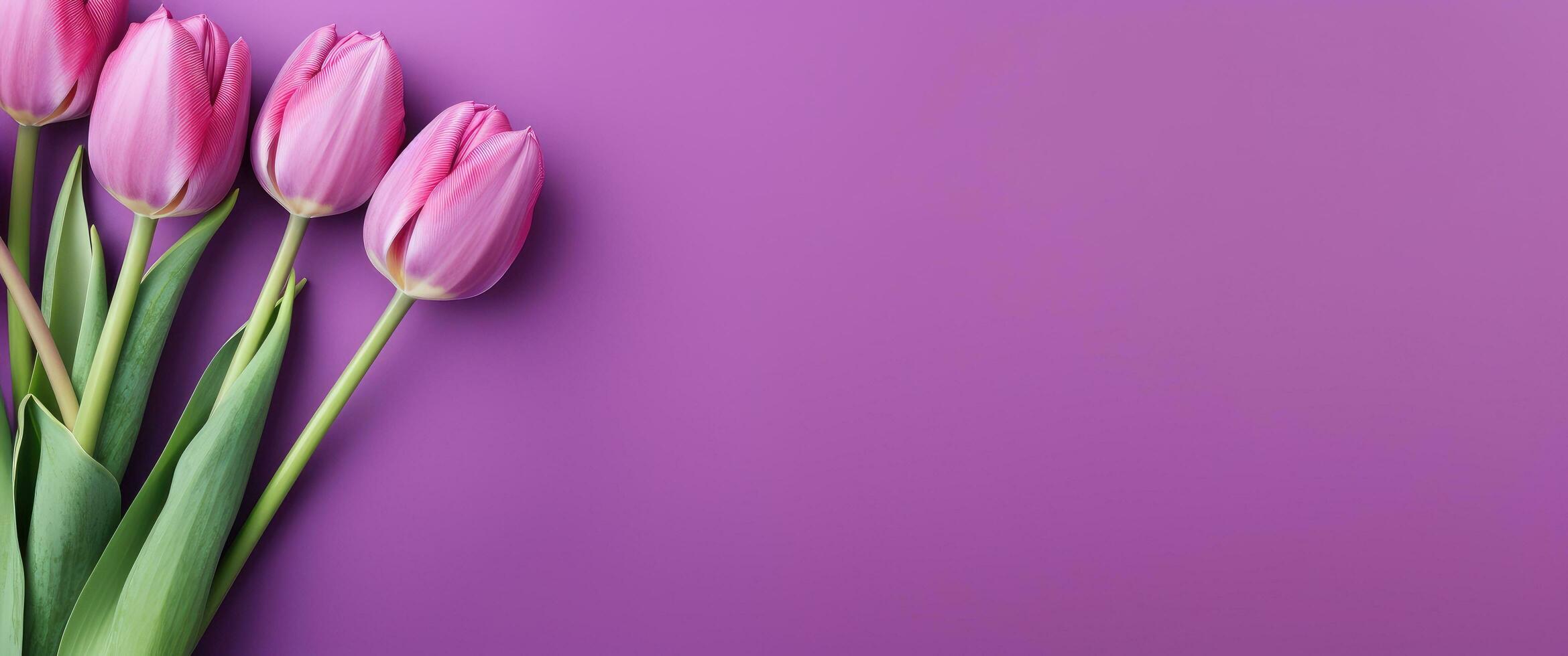 AI generated beautiful purple tulips on a purple background, photo