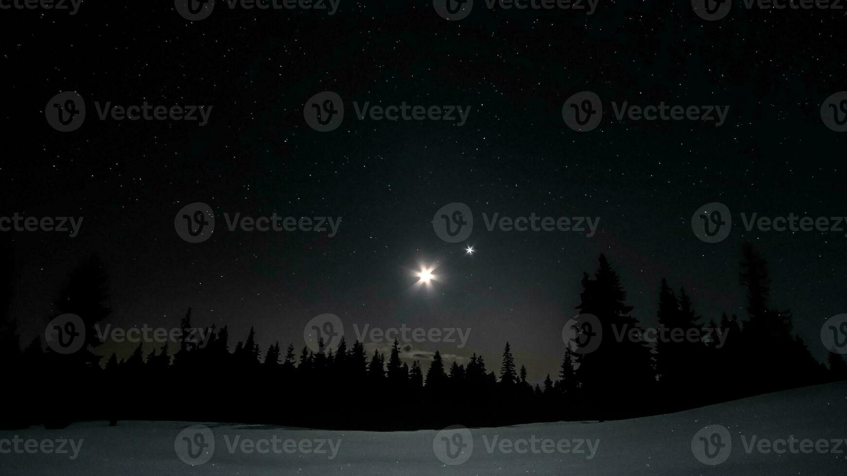 Moon and stars in the night sky over the forest in winter photo