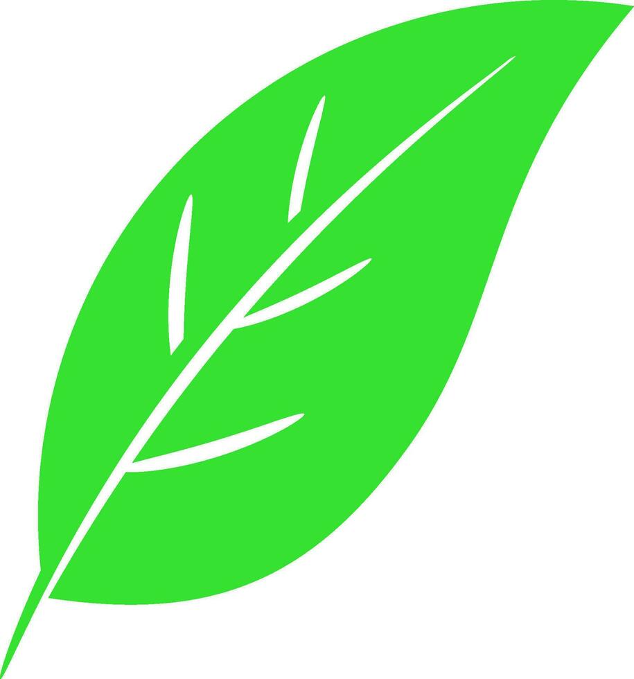 single icon or symbol of leaf pictogram vector