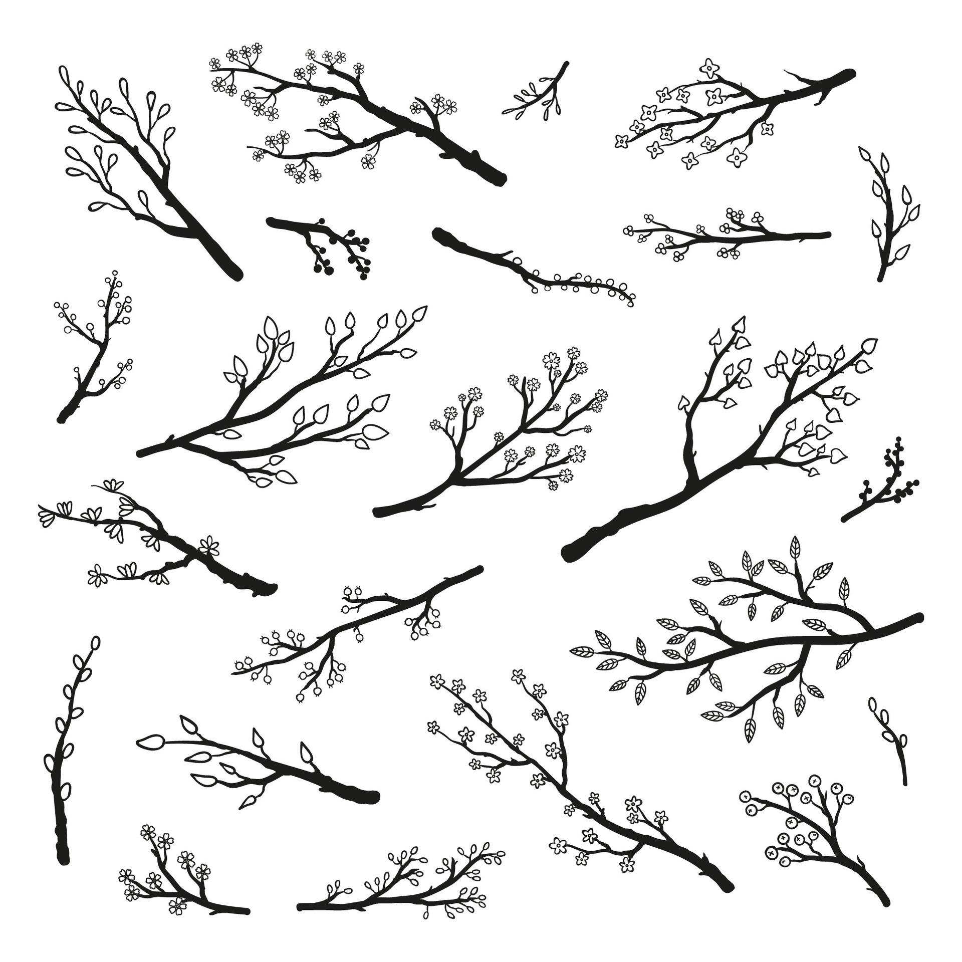 Set of hand drawn twigs and branches. 35350267 Vector Art at Vecteezy
