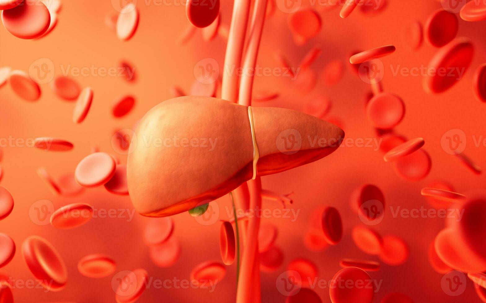 Liver organ with health care concept, 3d rendering. photo