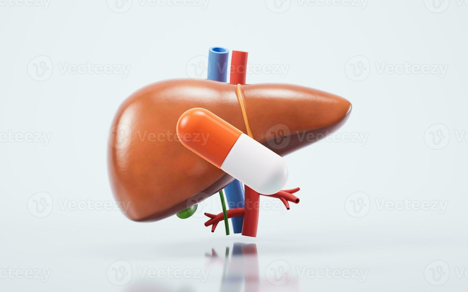 Liver organ with health care concept, 3d rendering. photo