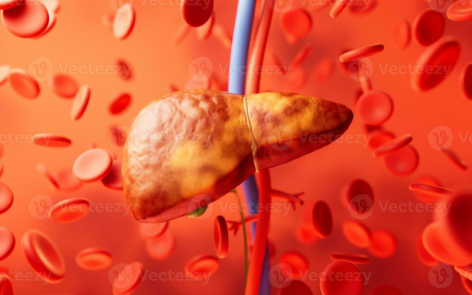 hígado Organo con graso hígado estado, 3d representación. foto