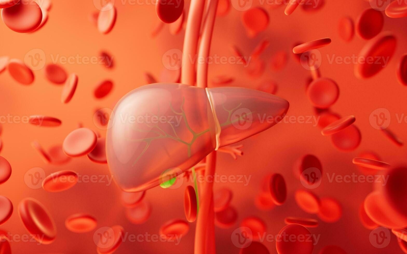 hígado Organo con salud cuidado concepto, 3d representación. foto