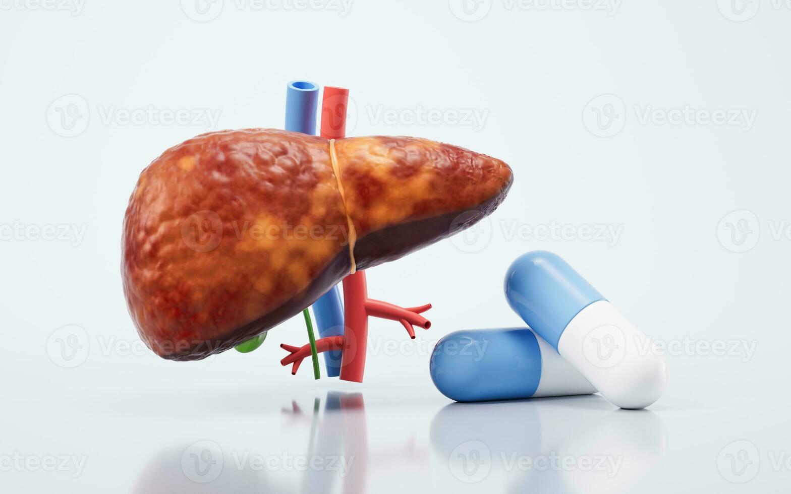 Liver organ with fatty liver state, 3d rendering. photo