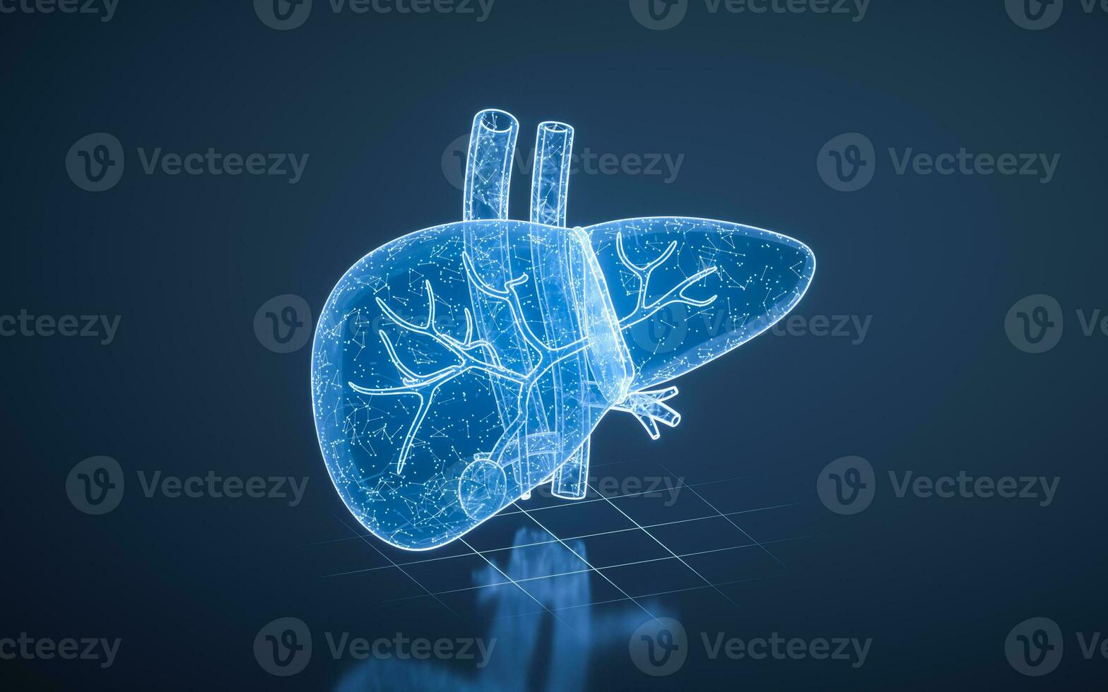 Liver organ with health care concept, 3d rendering. photo