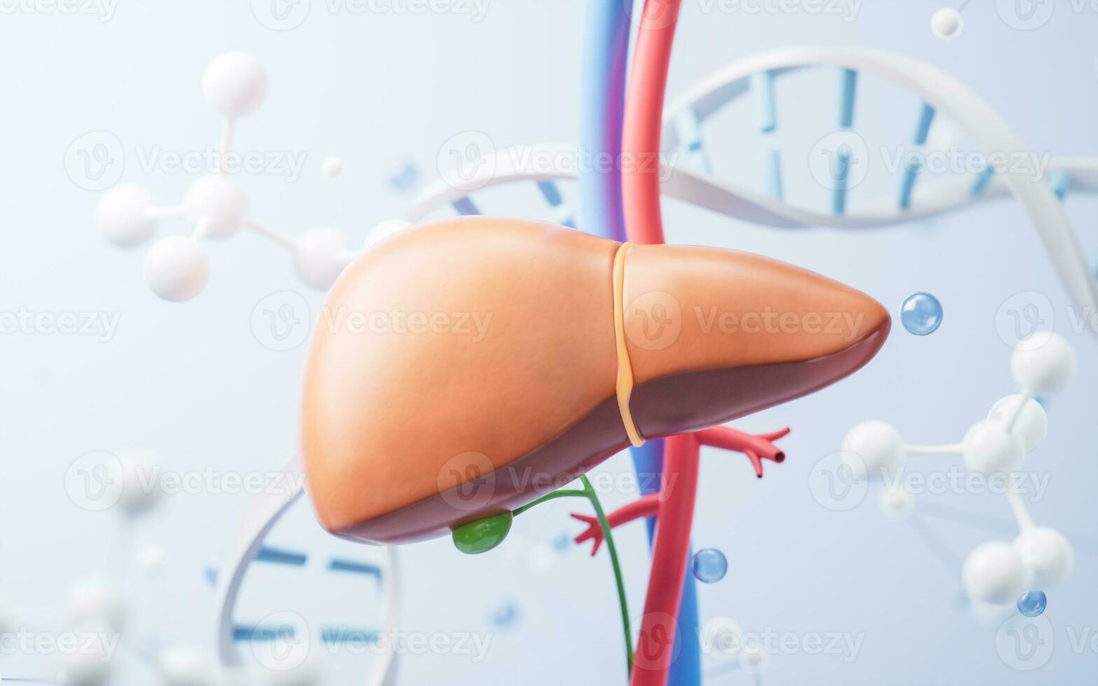 Liver and biological concept background, 3d rendering. photo